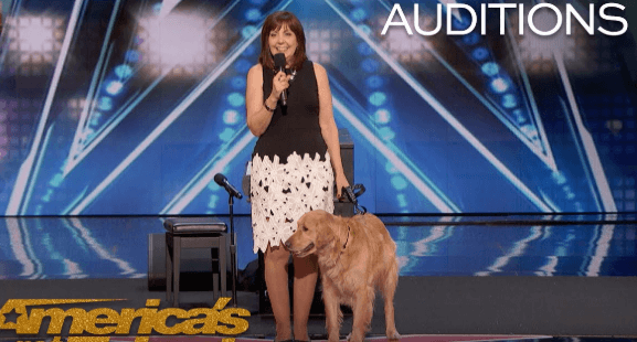 On AGT 2018, Oscar and Pam: The Singing Dog That Won America Over