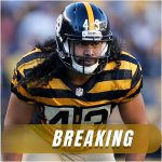 Former Steelers superstar Troy Polamalu returns – as co-owner of the team!.THANHDUNG